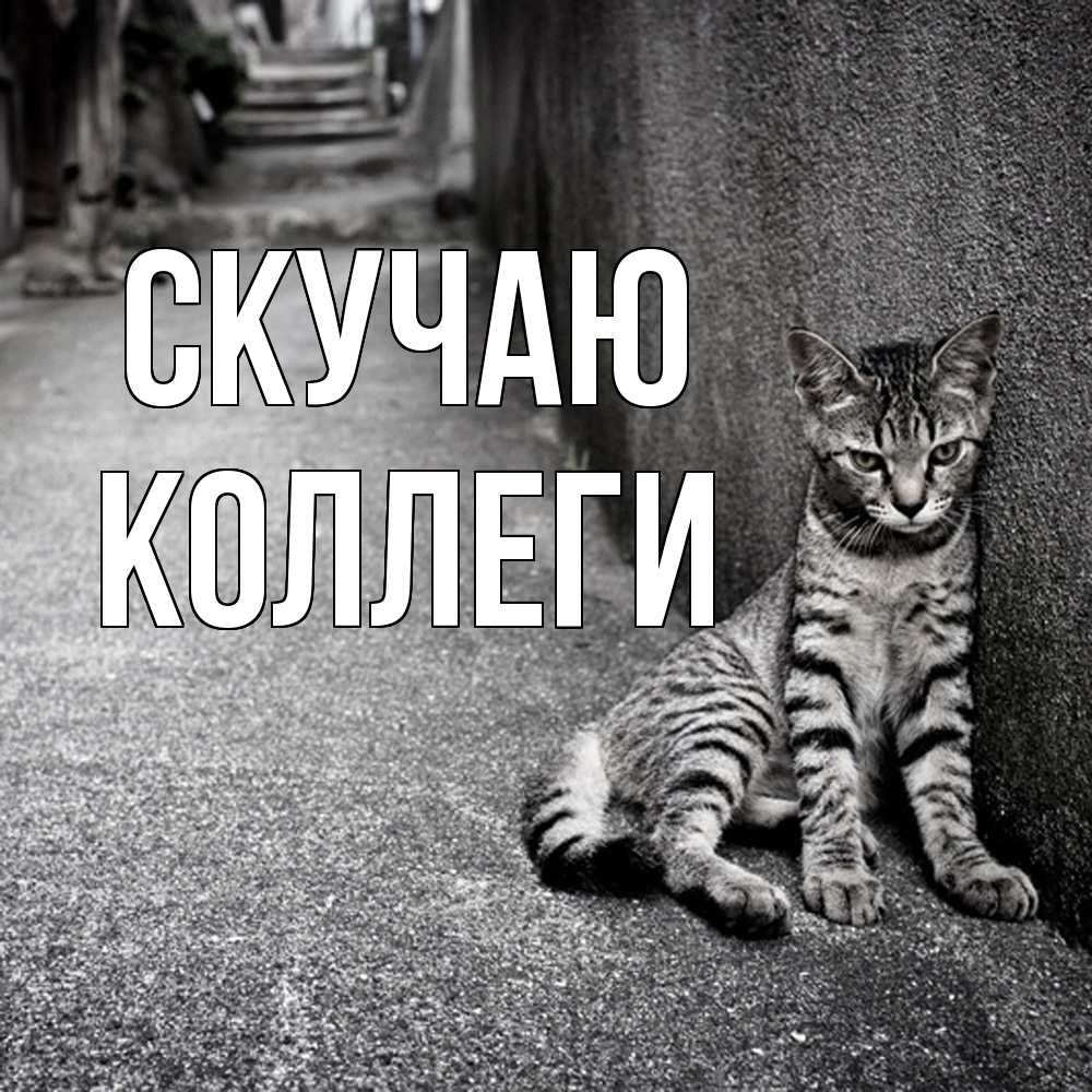 Открытка  с именем. коллеги, Скучаю  