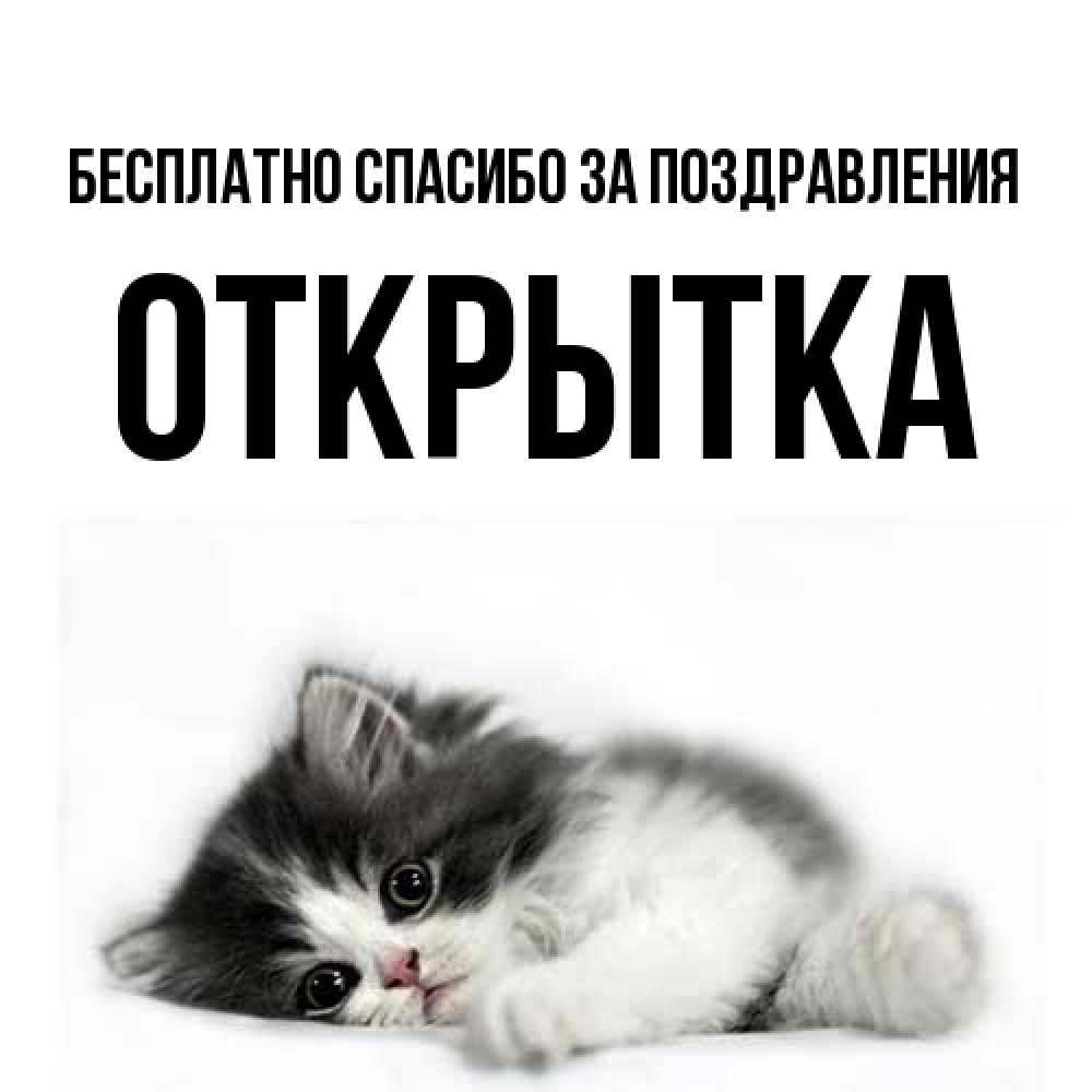 Открытка  с именем. открытка, Спасибо за поздравления  