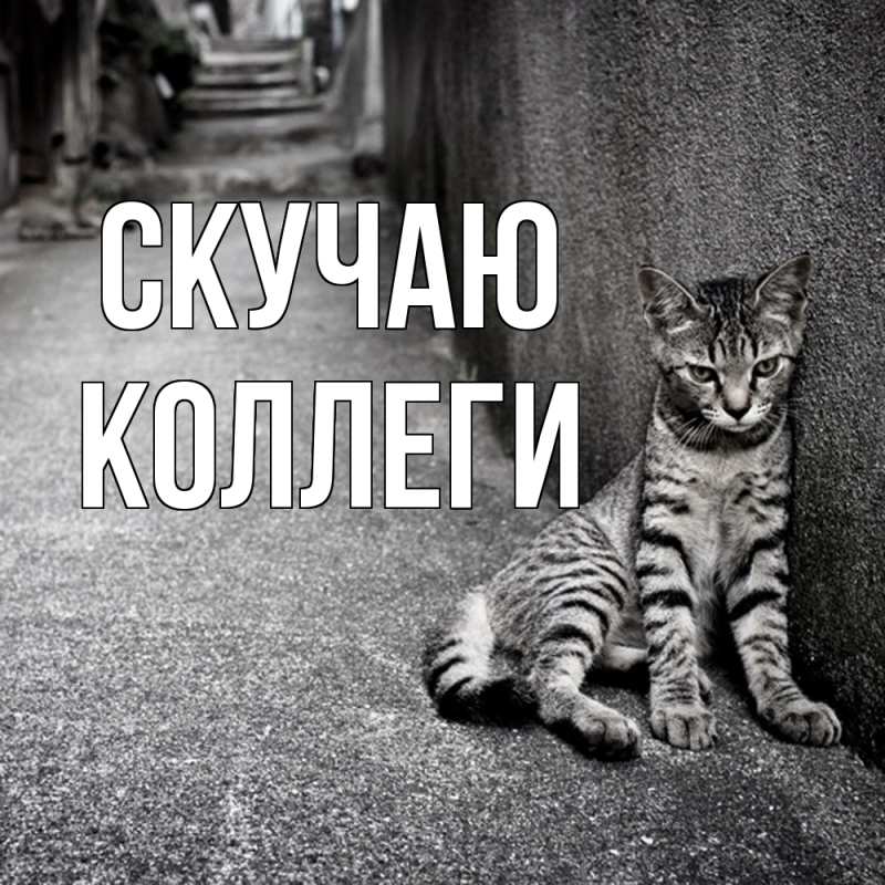 Картинка Скучаю, коллеги