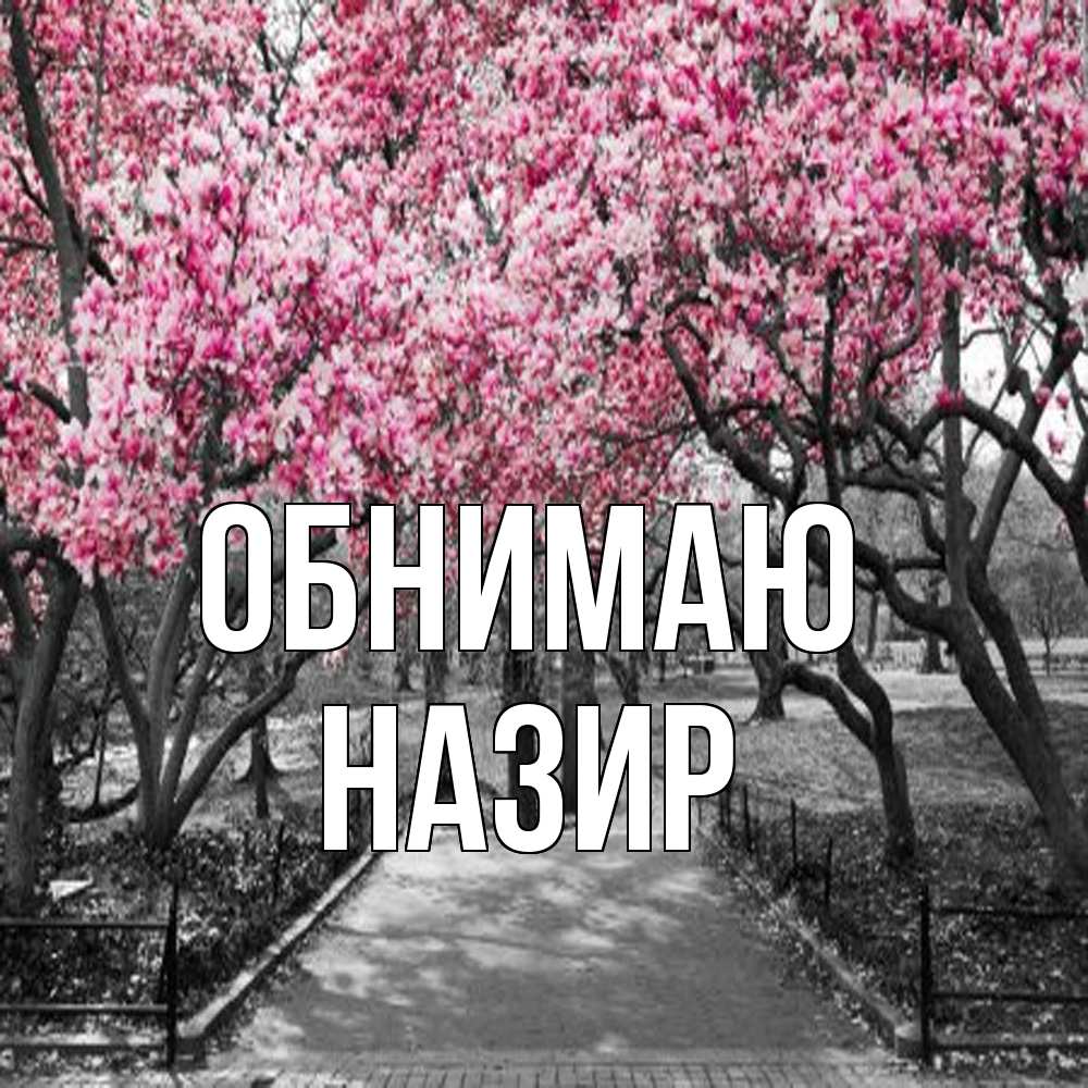 Открытка  с именем. Назир, Обнимаю  