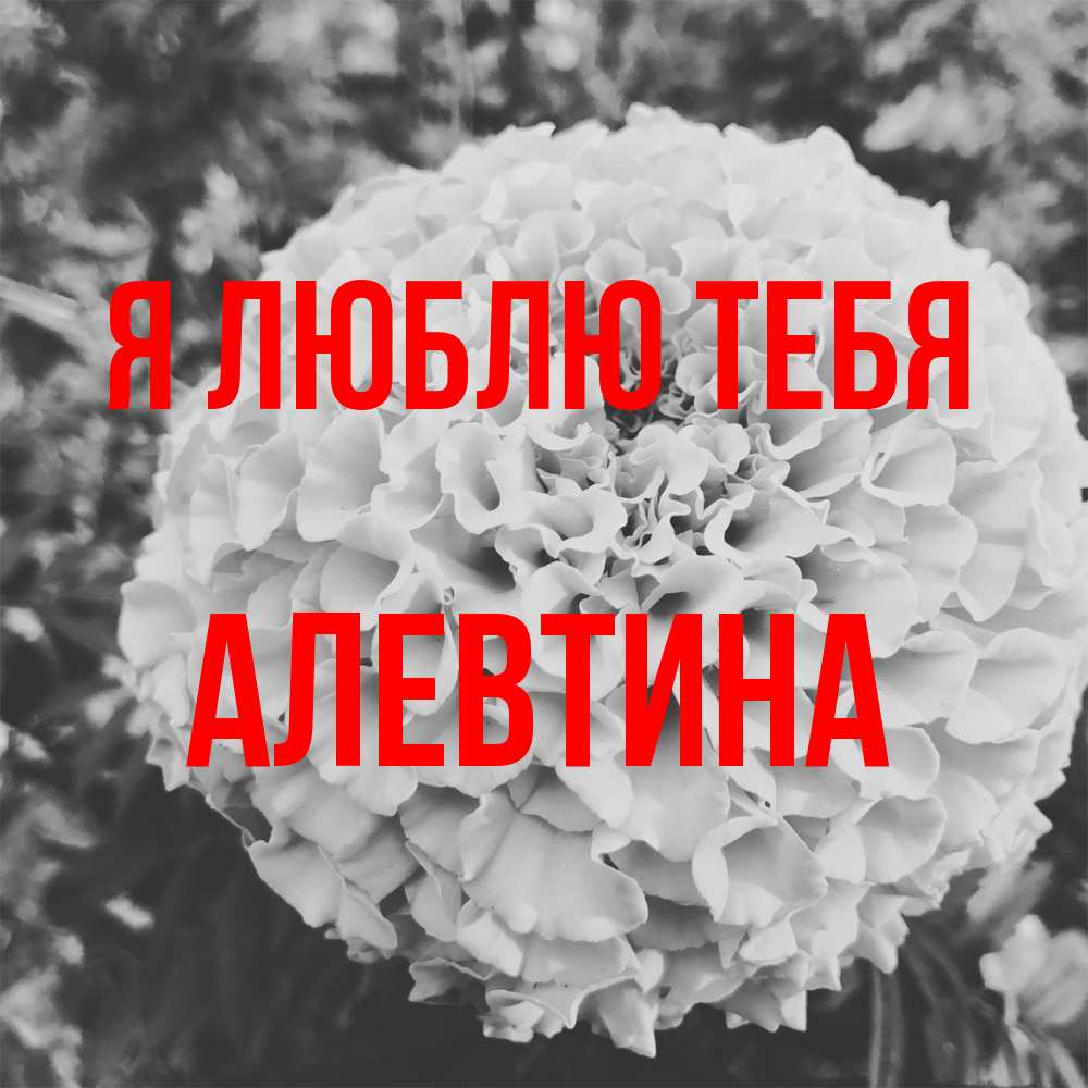 Открытка  с именем. Алевтина, Я люблю тебя  