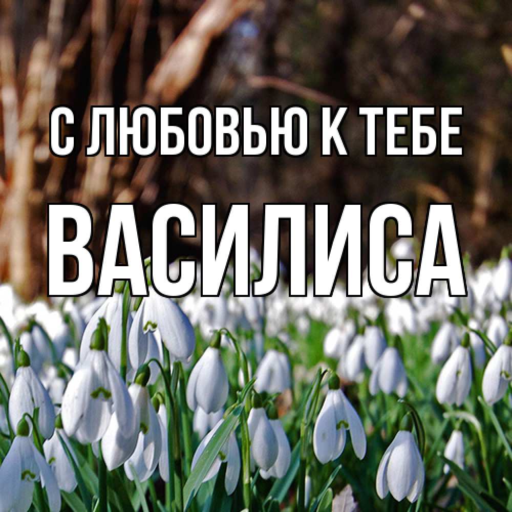 Открытка  с именем. Василиса, С любовью к тебе  