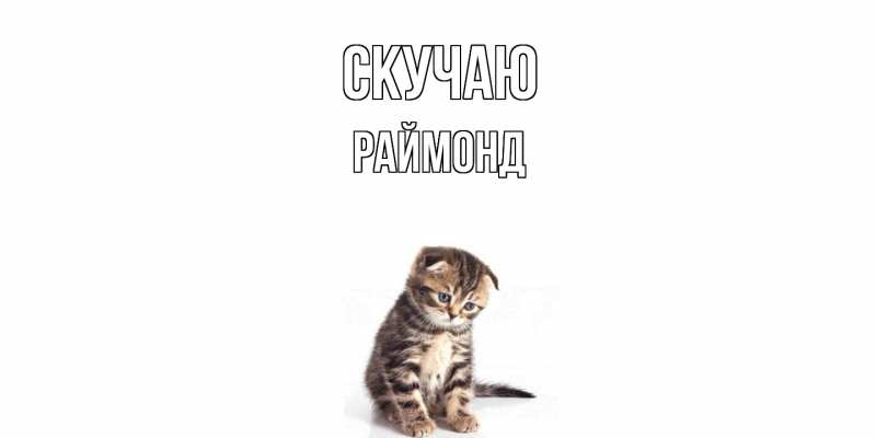 Картинка Скучаю, Раймонд