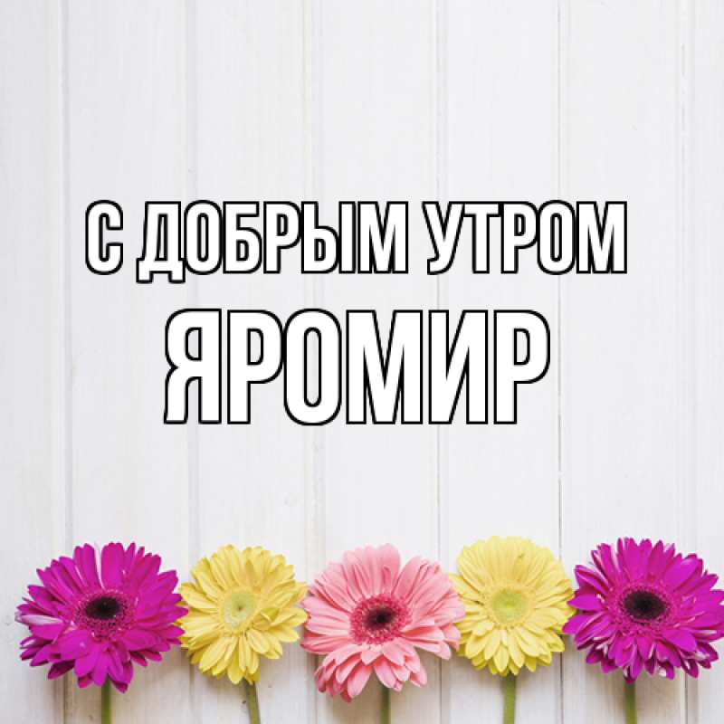 Картинка С добрым утром, Яромир