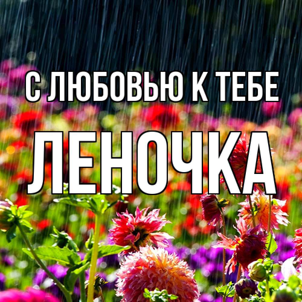 Открытка  с именем. ЛЕНОЧКА, С любовью к тебе  