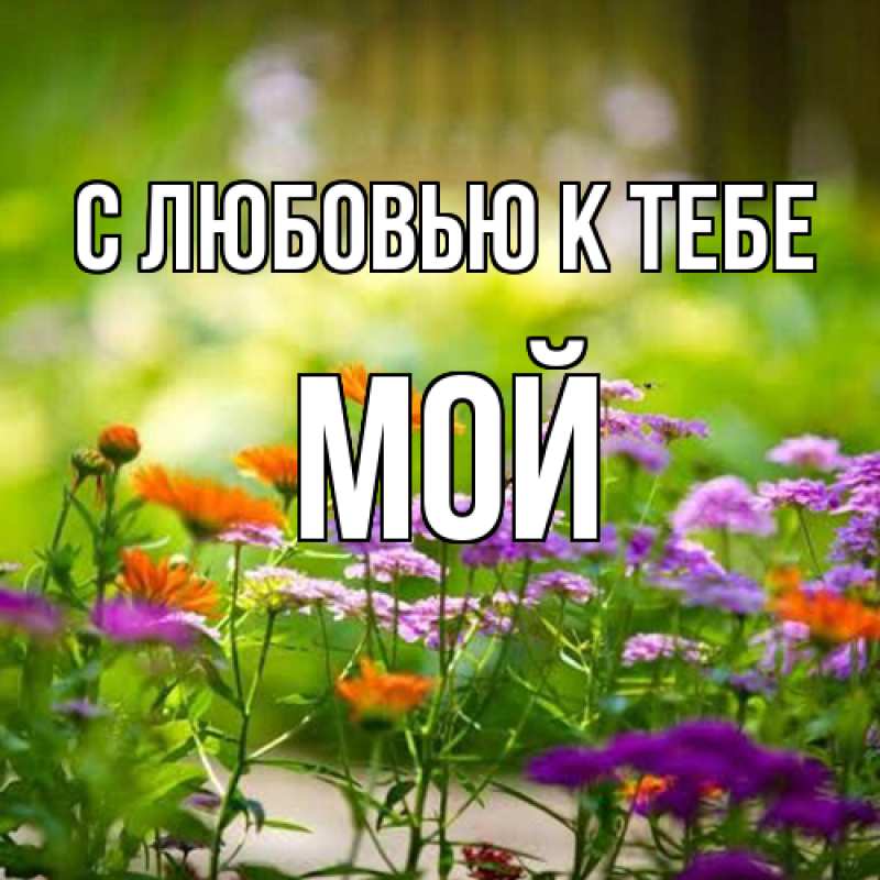 Картинка С любовью к тебе, Мой