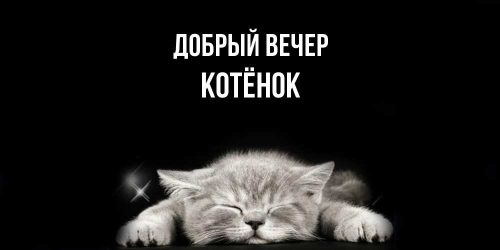 Открытка  с именем. Котёнок, Добрый вечер  