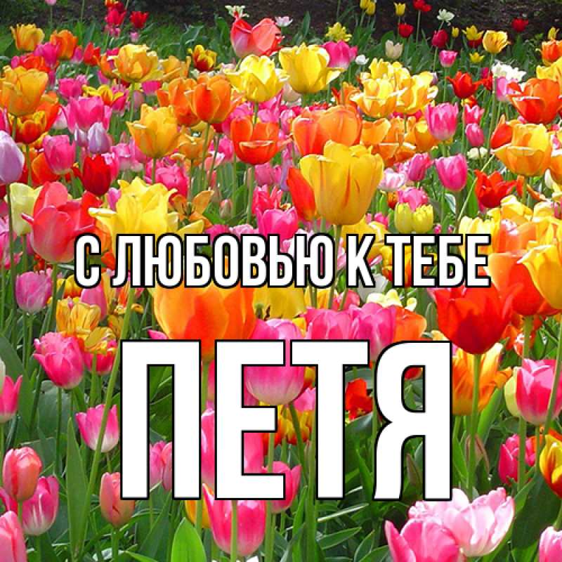 Картинка С любовью к тебе, Петя
