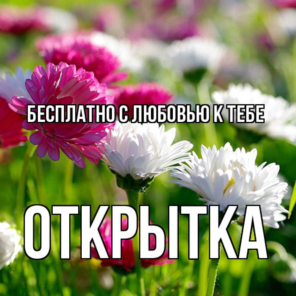 Открытка  с именем. открытка, С любовью к тебе  