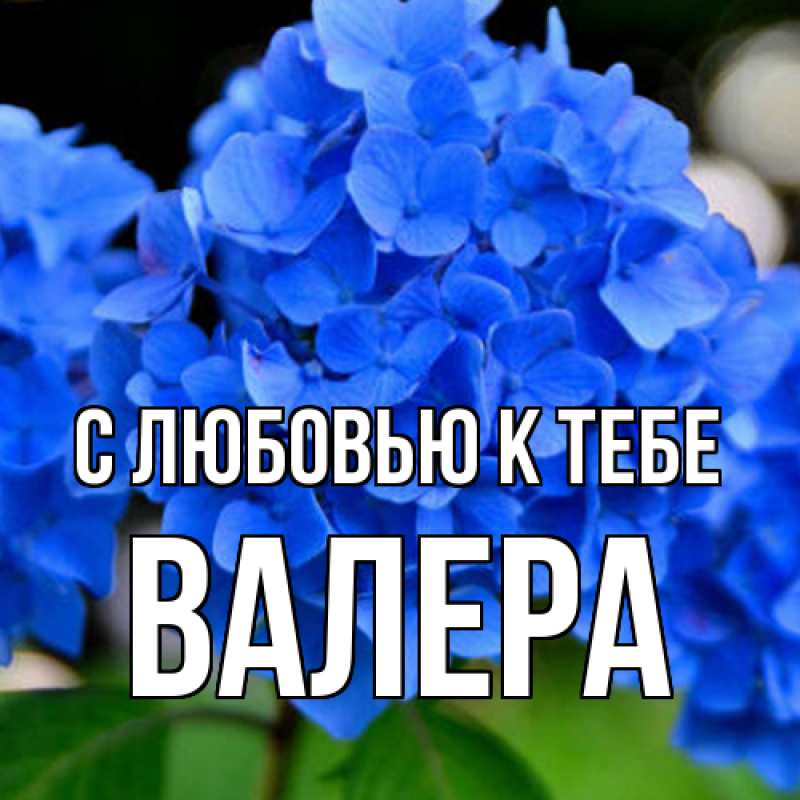 Картинка С любовью к тебе, Валера