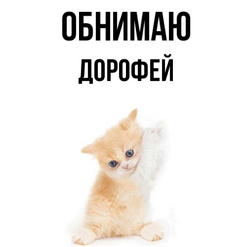Картинка Обнимаю, Дорофей