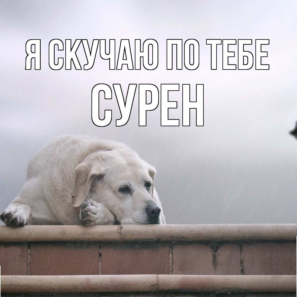 Открытка  с именем. Сурен, Я скучаю по тебе  
