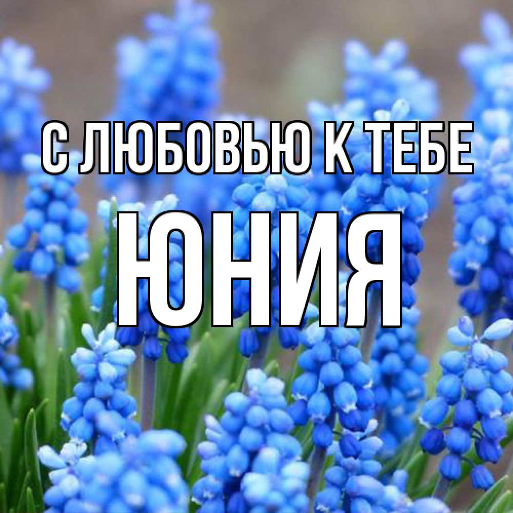 Открытка  с именем. Юния, С любовью к тебе  