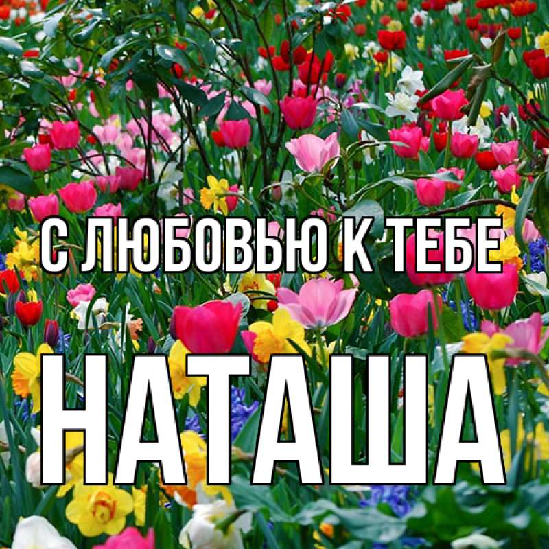 Картинка С любовью к тебе, Наташа