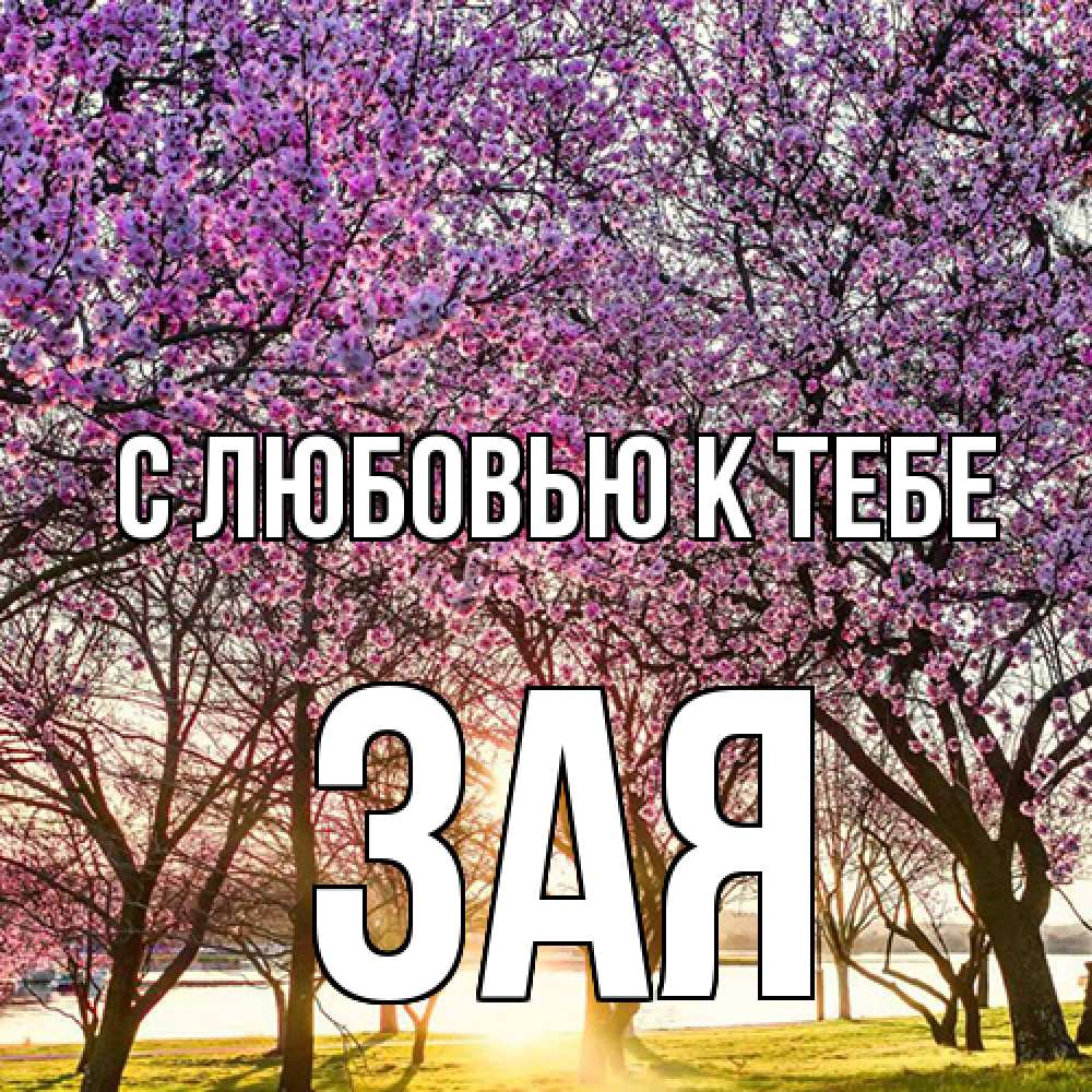 Открытка  с именем. Зая, С любовью к тебе  