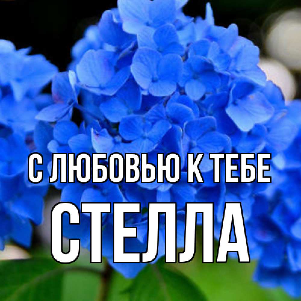 Открытка  с именем. Стелла, С любовью к тебе  