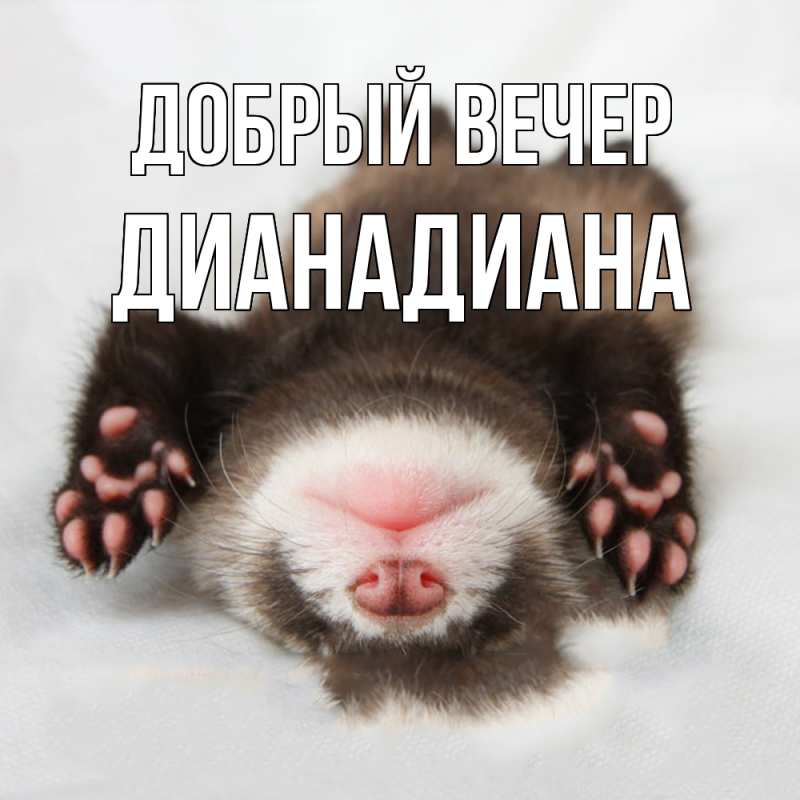 Картинка Добрый вечер, ДианаДиана