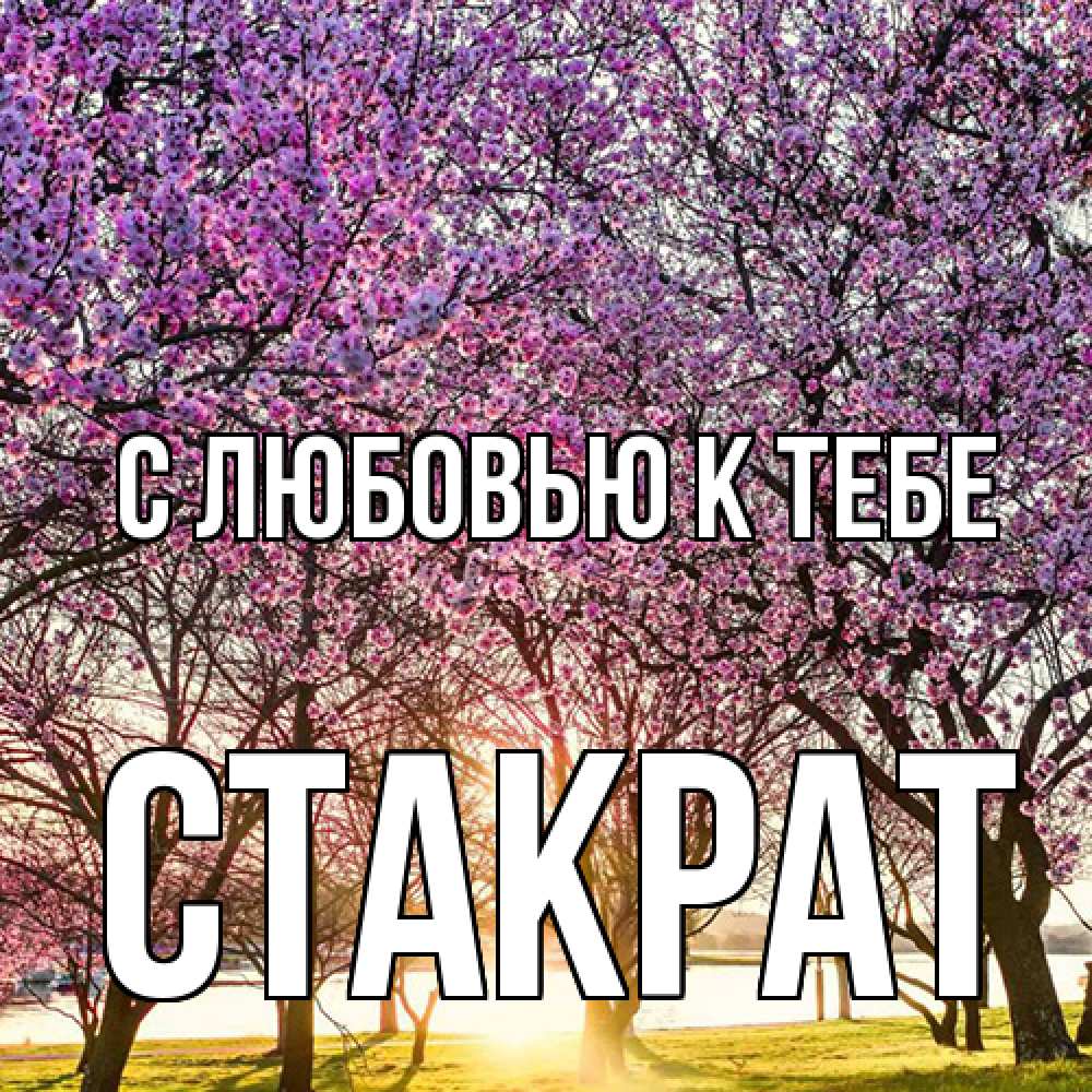 Открытка  с именем. Стакрат, С любовью к тебе  