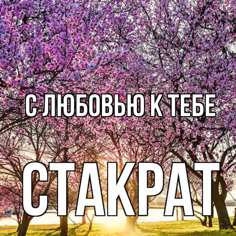 Картинка С любовью к тебе, Стакрат