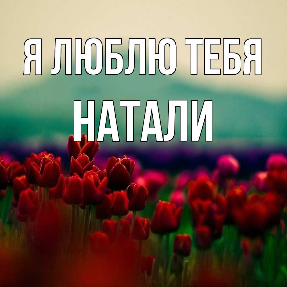 Открытка  с именем. Натали, Я люблю тебя  
