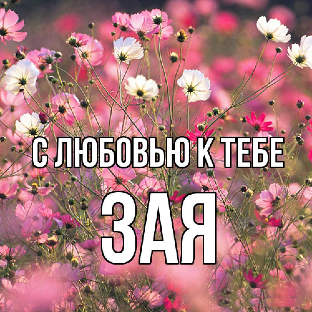 Открытка  с именем. Зая, С любовью к тебе  