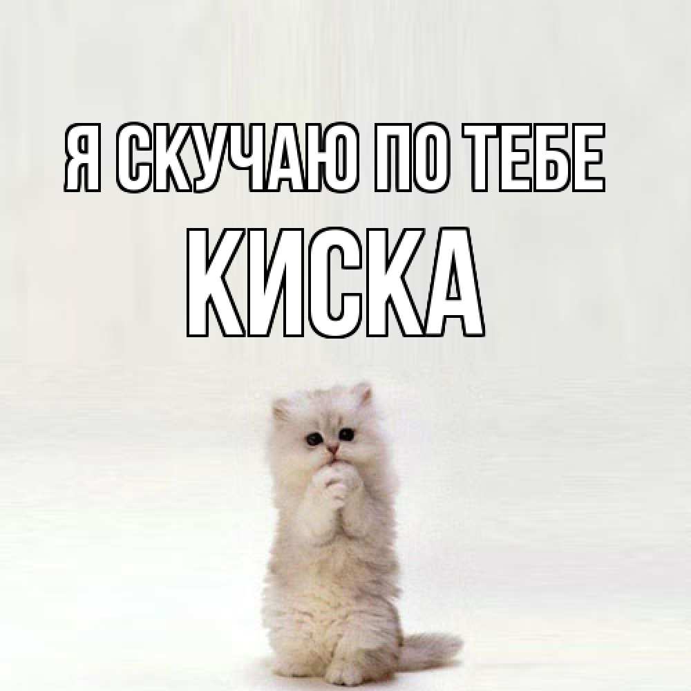 Открытка  с именем. Киска, Я скучаю по тебе  