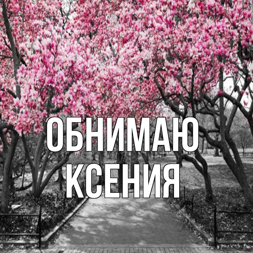 Открытка  с именем. Ксения, Обнимаю  