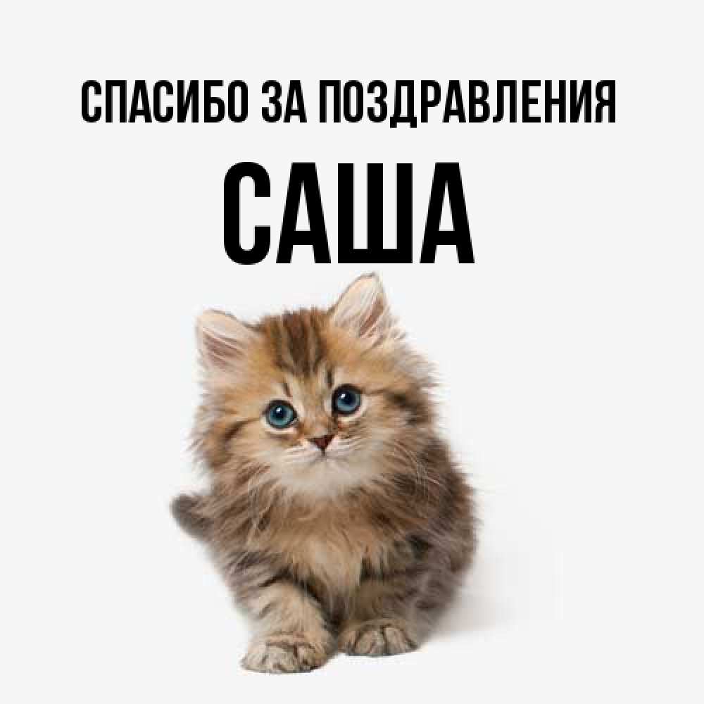 Открытка  с именем. Саша, Спасибо за поздравления  