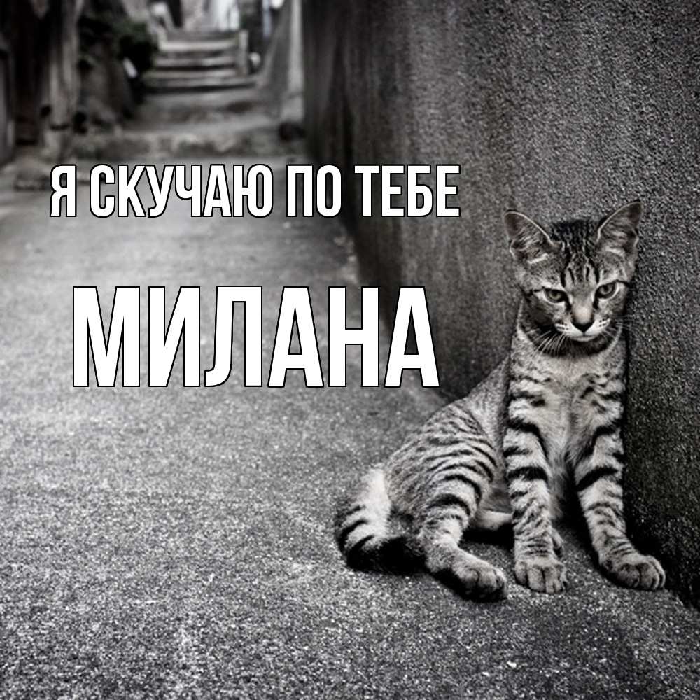 Открытка  с именем. Милана, Я скучаю по тебе  