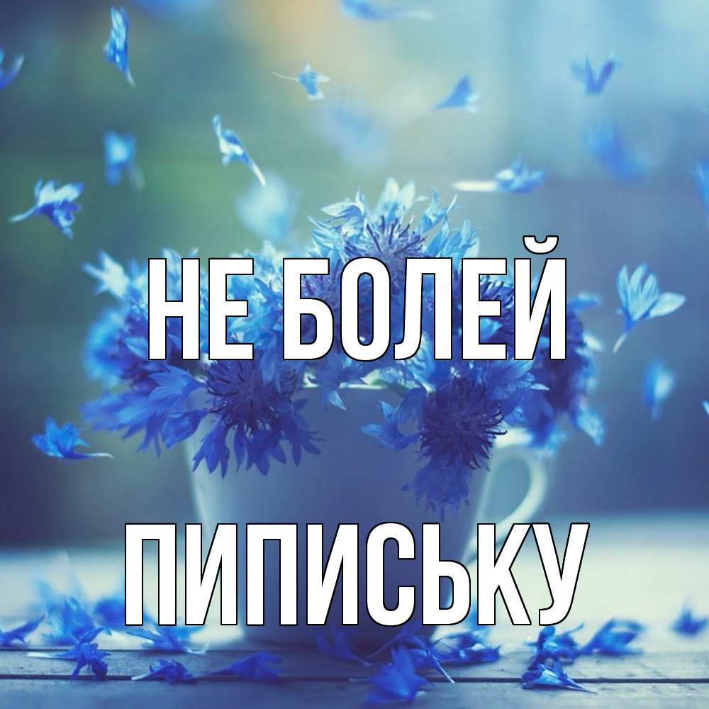 Открытка  с именем. Пипиську, Не болей  