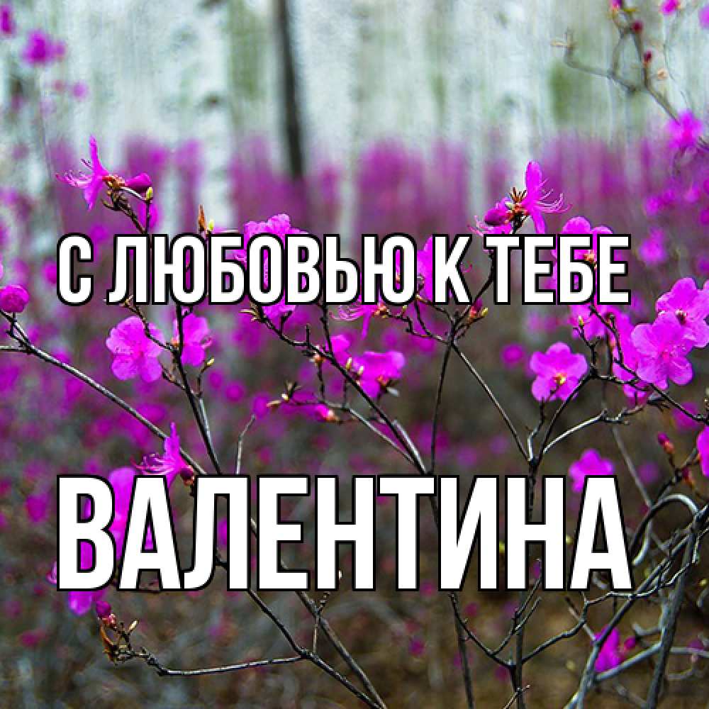 Открытка  с именем. валентина, С любовью к тебе  