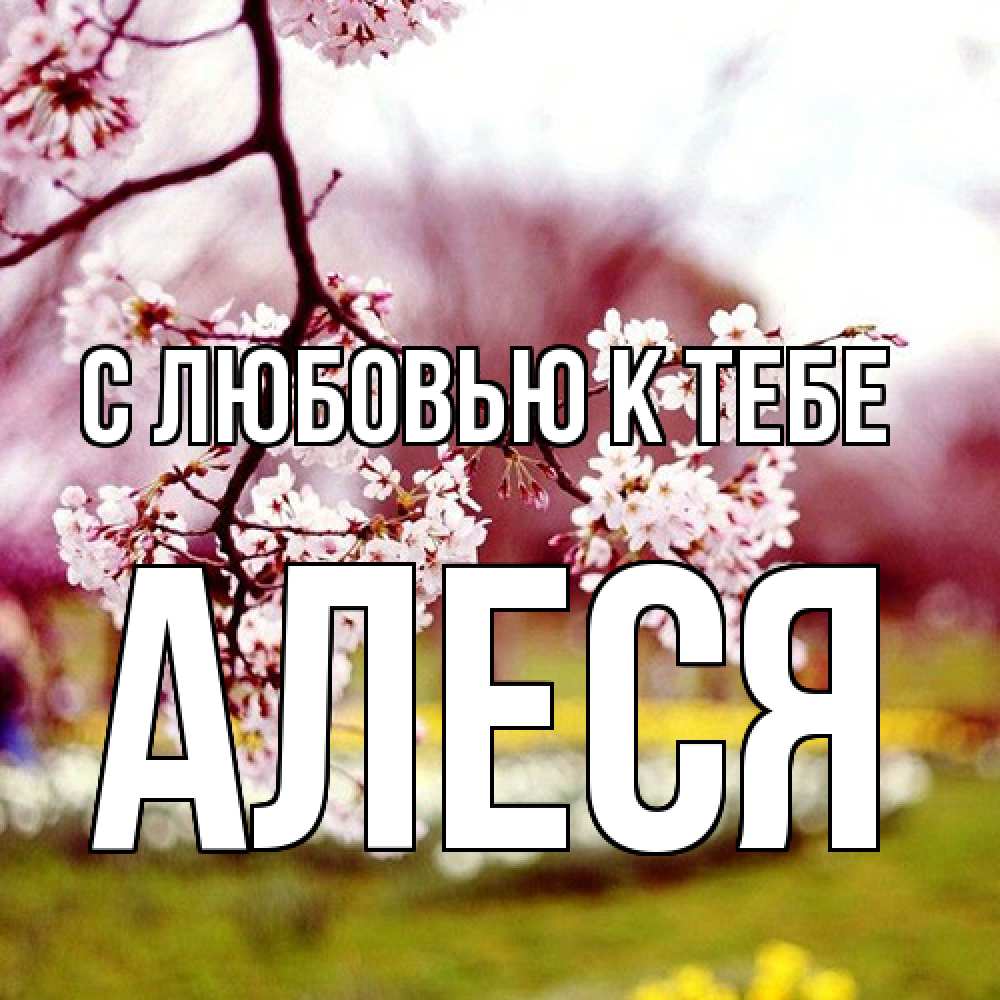 Открытка  с именем. Алеся, С любовью к тебе  
