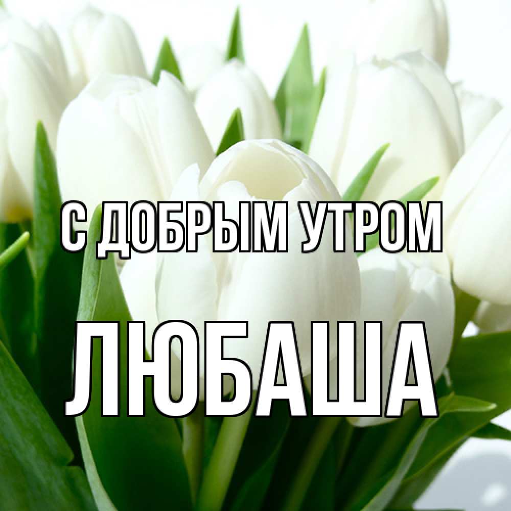 Открытка  с именем. ЛЮБАША, С добрым утром  