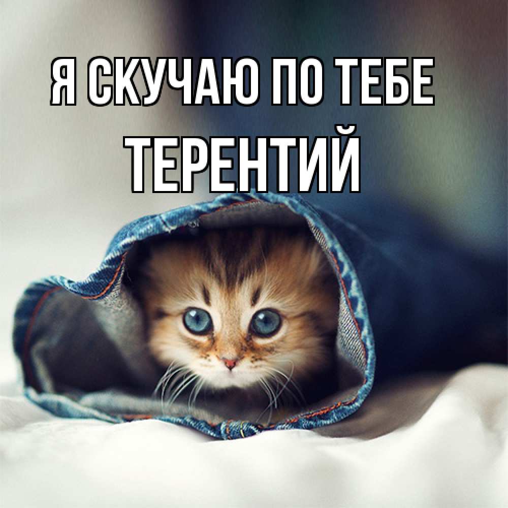 Открытка  с именем. Терентий, Я скучаю по тебе  