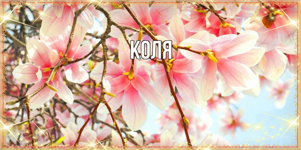 Открытка  с именем. коля, Главная  