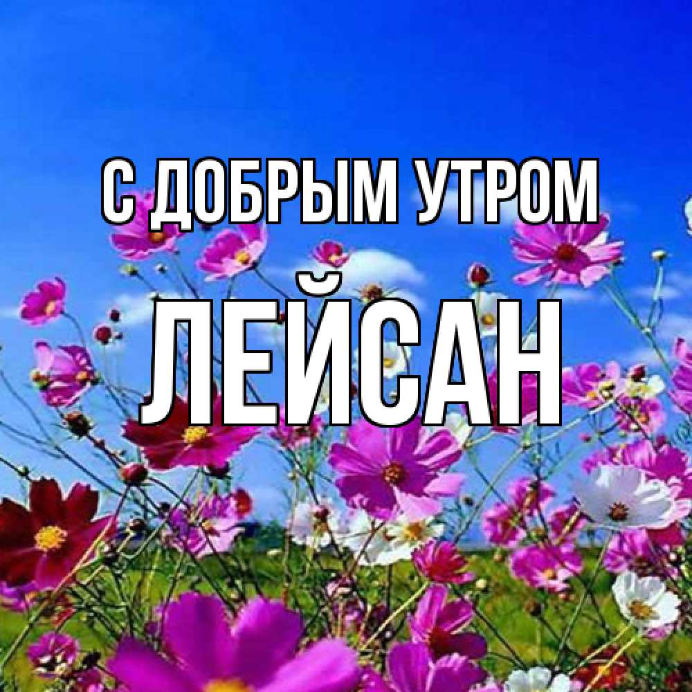 Открытка  с именем. Лейсан, С добрым утром  
