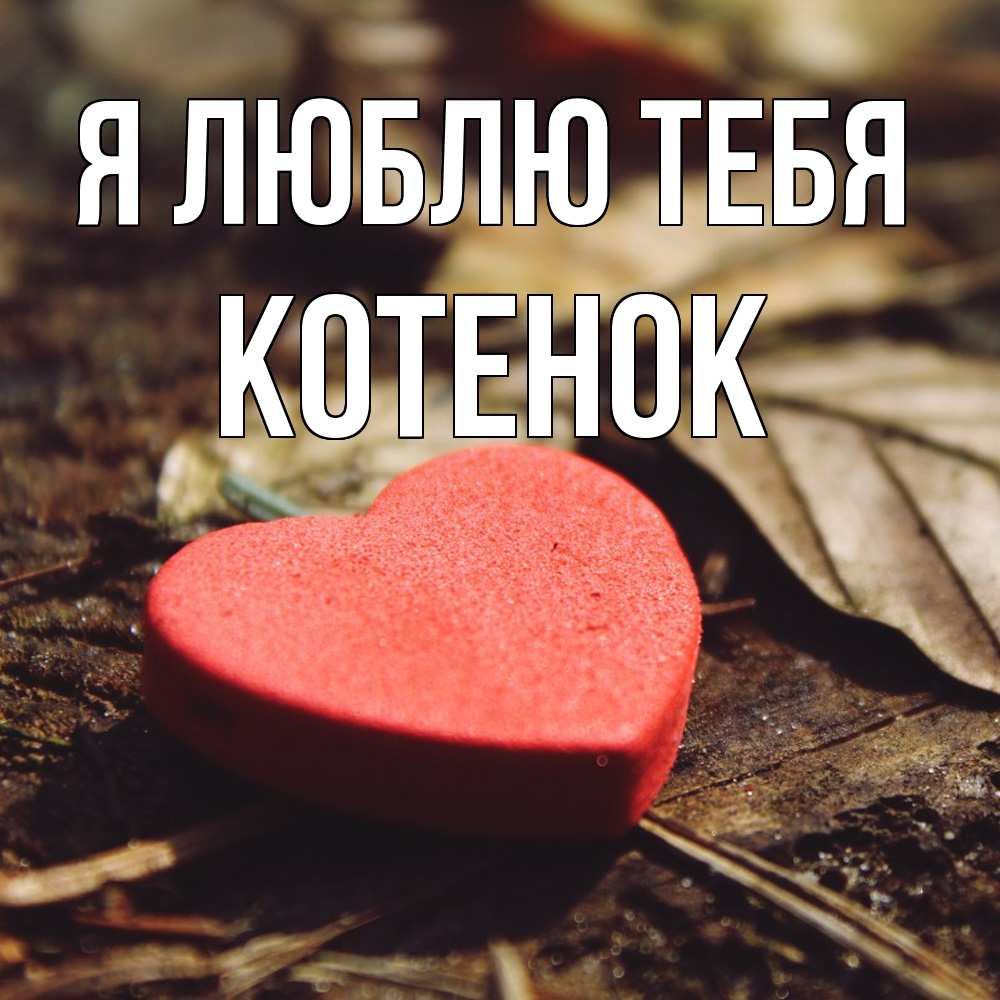 Открытка  с именем. Котенок, Я люблю тебя  