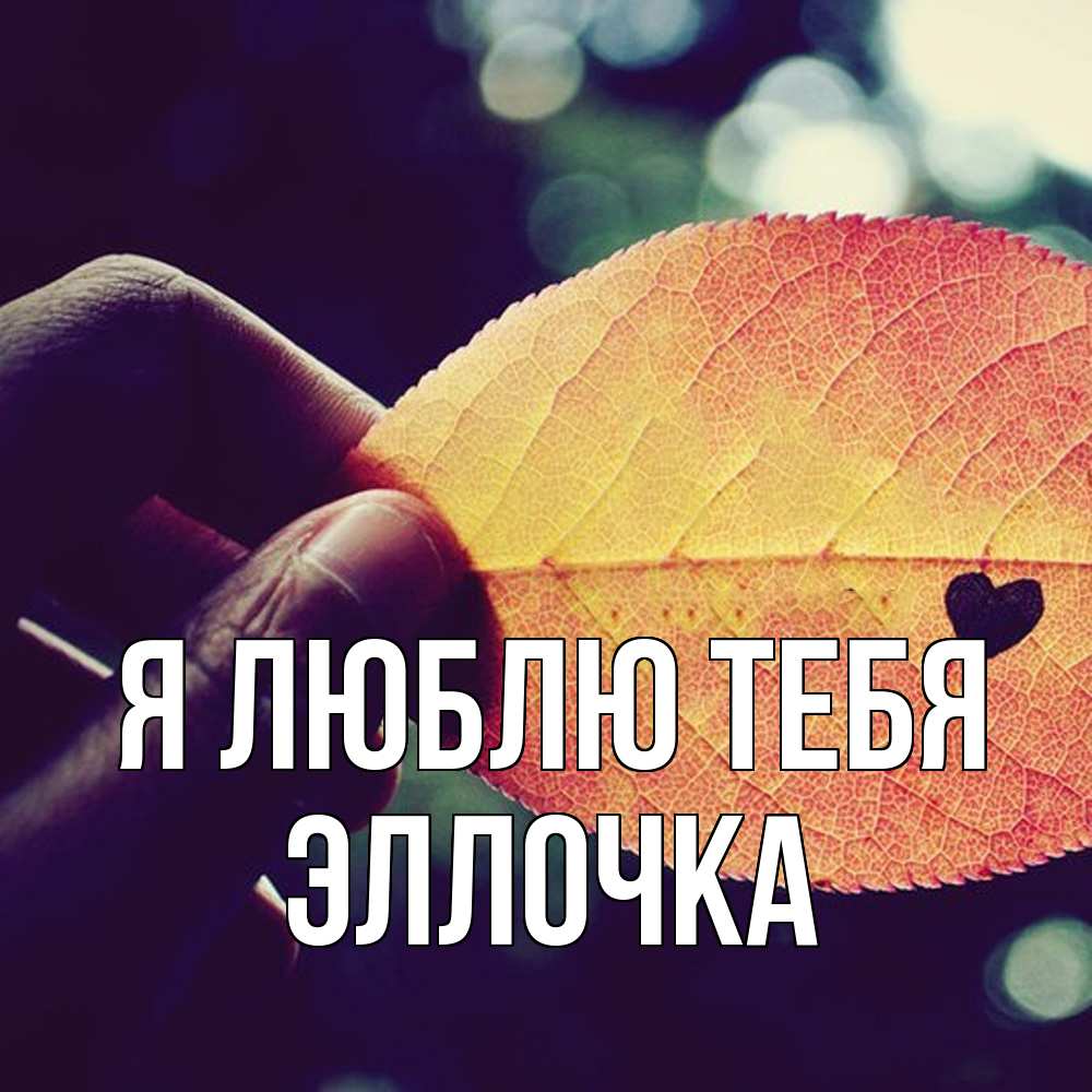 Открытка  с именем. Эллочка, Я люблю тебя  