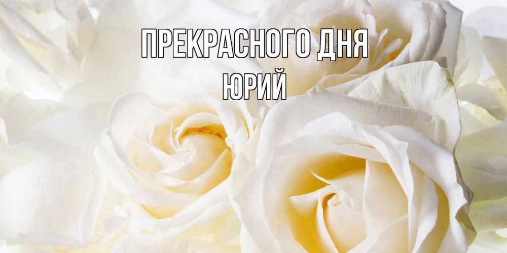 Открытка  с именем. Юрий, Прекрасного дня  