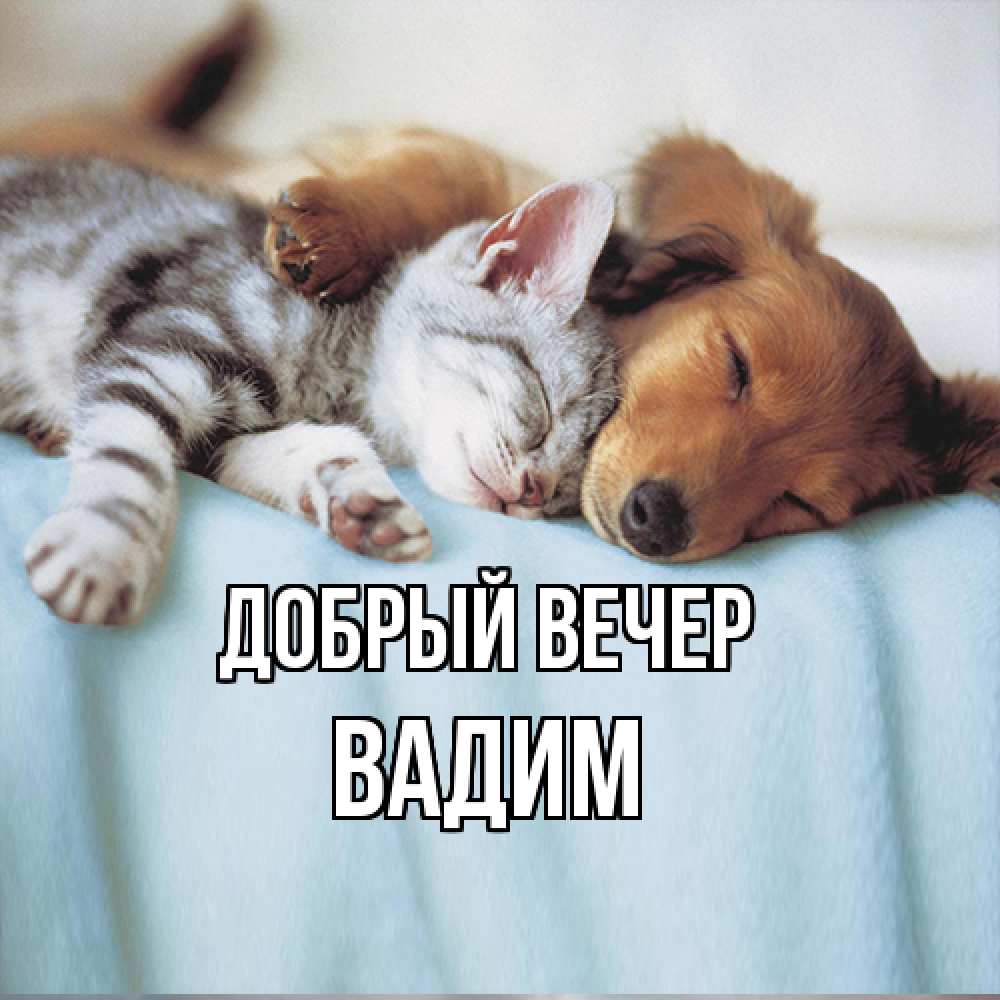 Открытка  с именем. Вадим, Добрый вечер  