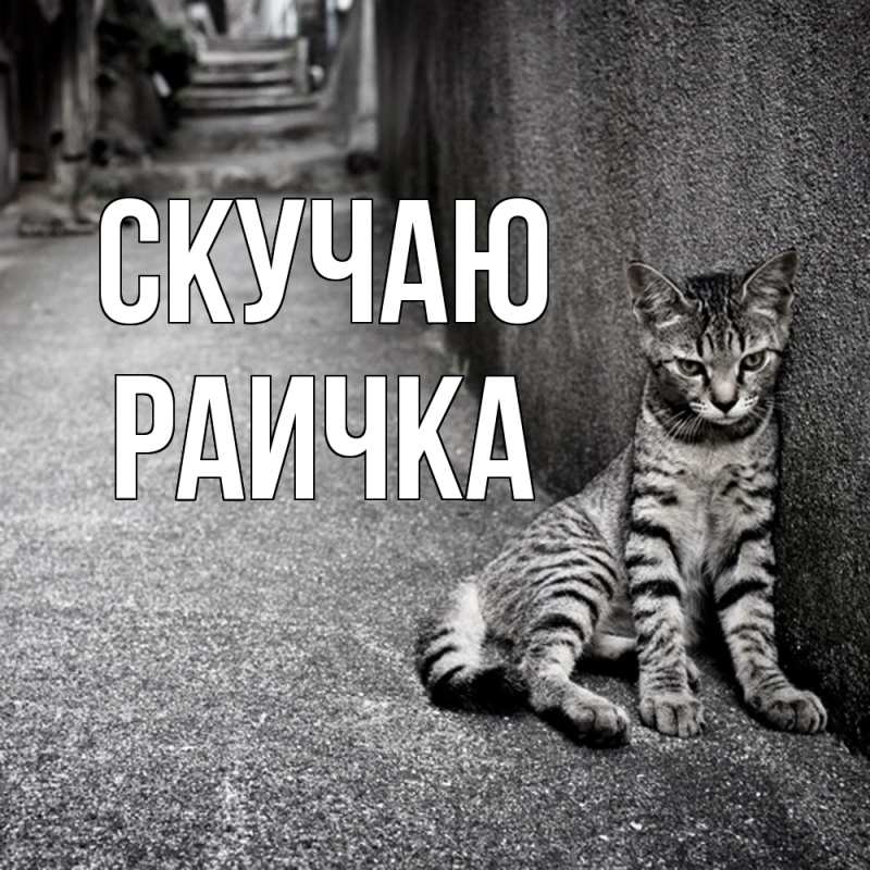 Картинка Скучаю, Раичка