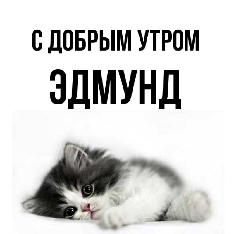 Картинка С добрым утром, Эдмунд