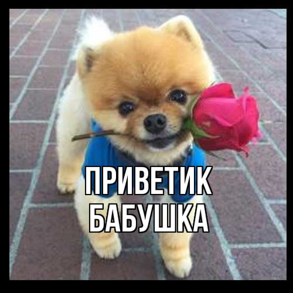 Открытка  с именем. Бабушка, приветик  