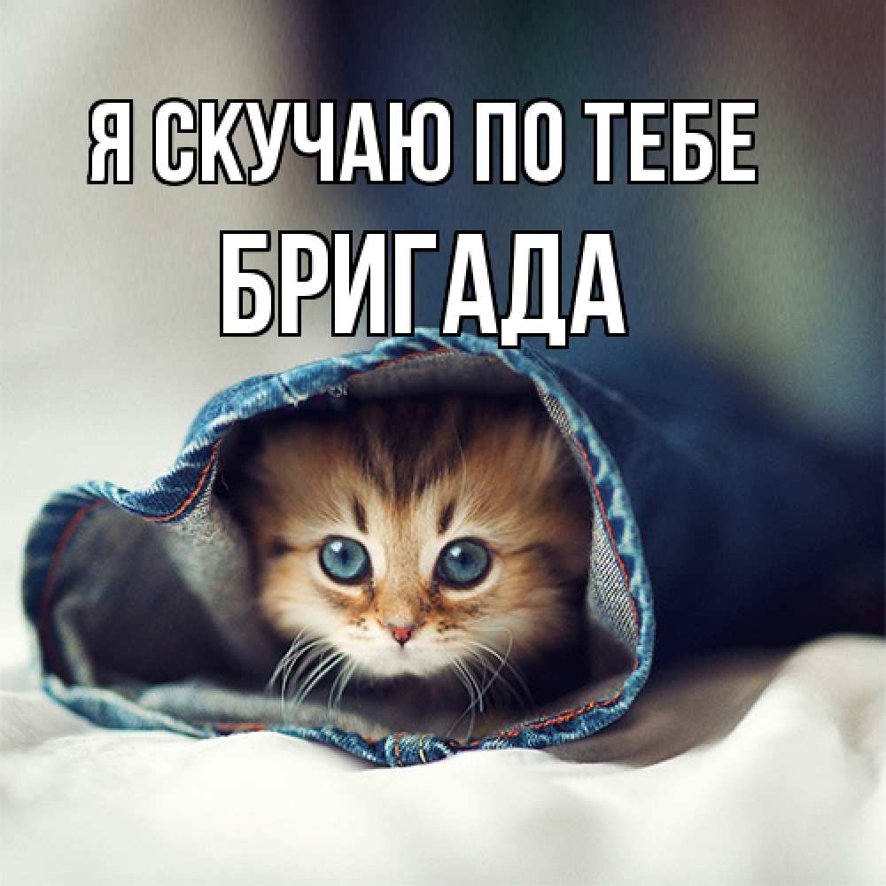 Открытка  с именем. Бригада, Я скучаю по тебе  