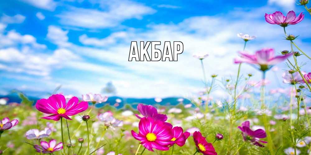 Открытка  с именем. Акбар, Главная  