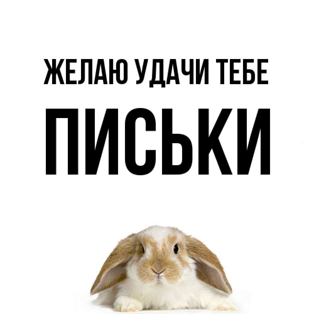 Открытка  с именем. Письки, Желаю удачи тебе  