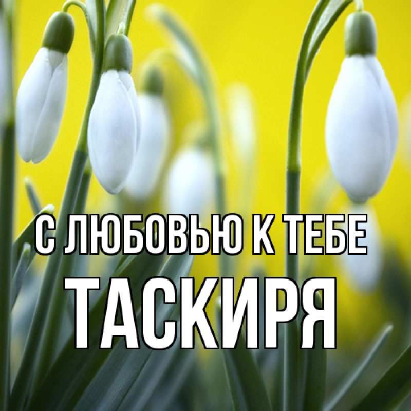 Картинка С любовью к тебе, Таскиря
