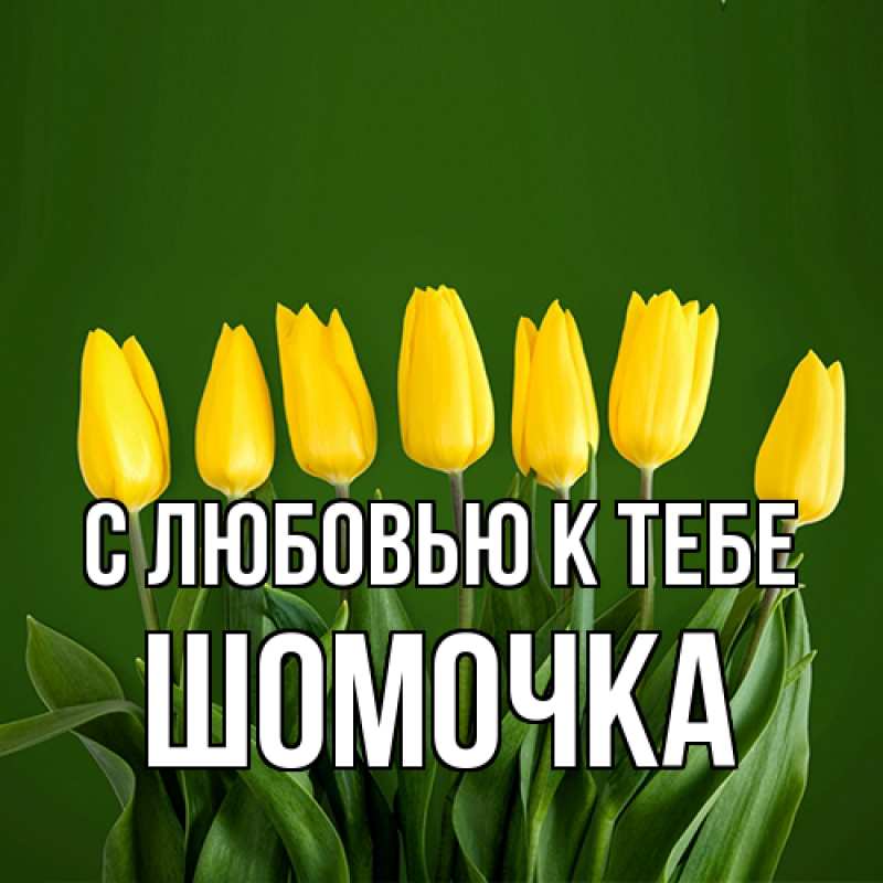 Картинка С любовью к тебе, Шомочка