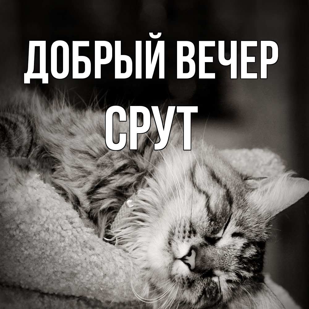 Открытка  с именем. срут, Добрый вечер  