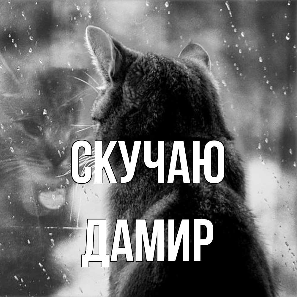 Открытка  с именем. Дамир, Скучаю  